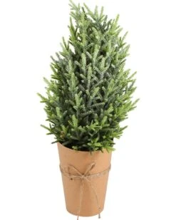 Christmas Tree In Jute Paper Pot With Jute String 55cm