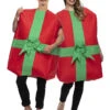 Christmas Present Adult Costume
