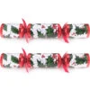 Holly Red And Green Christmas Crackers Pack Of 50 -PARTY SUPPLIES SHOP holly red and green christmas crackers pack of 50 pp2104 1