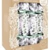 Kraft Eucalyptus Christmas Crackers Pack Of 12 2 Kraft Eucalyptus Christmas Crackers Pack Of 12 -PARTY SUPPLIES SHOP kraft eucalyptus christmas crackers pack of 12 tpp2203
