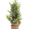 Real Touch Slightly Frosted Christmas Tree In Burlap Pot 43cm 2 Real Touch Slightly Frosted Christmas Tree In Burlap Pot 43cm -PARTY SUPPLIES SHOP real touch slightly frosted christmas tree in burlap pot 43cm xm5120